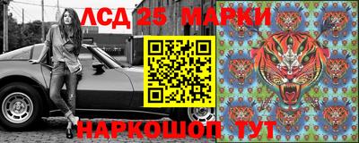 jwh Бийск