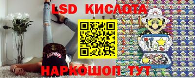 jwh Бийск