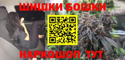 jwh Бийск