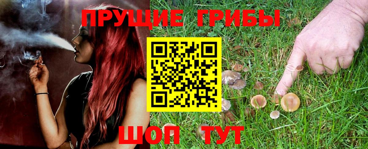 Псилоцибиновые грибы Magic Shrooms  Вход с VPN  Белореченск 