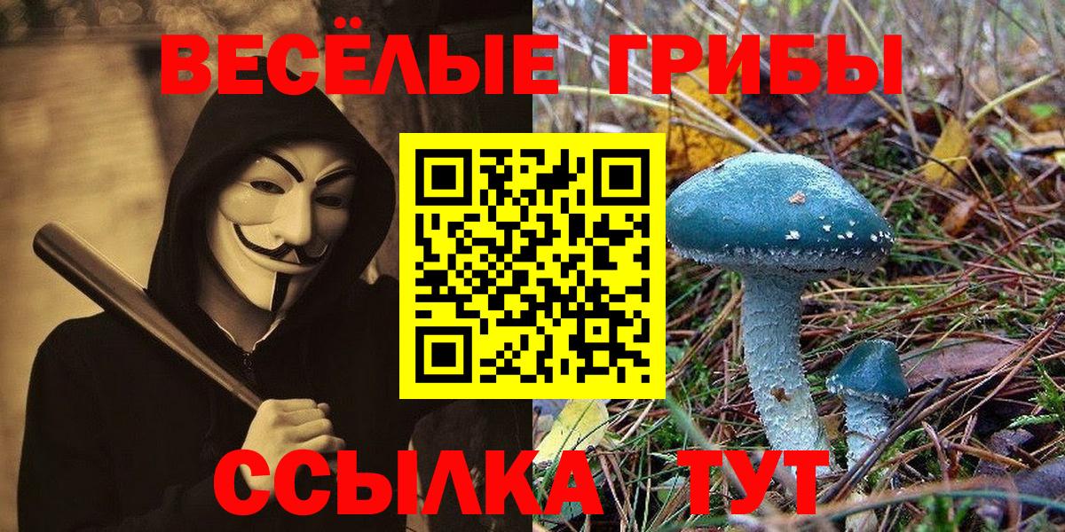 Галлюциногенные грибы мухоморы Белореченск